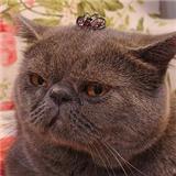 �û�����