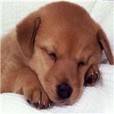 �û�����