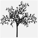 �û�����