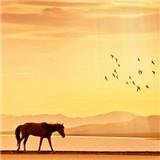 �û�����