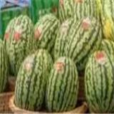 �û�����