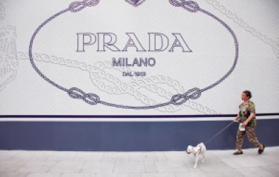 梦里花落知多少_海涛收入多少(2)